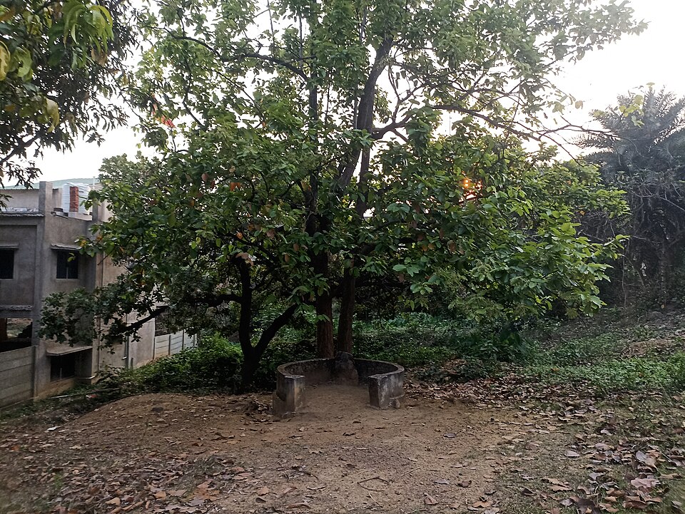 Baripada — local market for subscription and membership platforms
