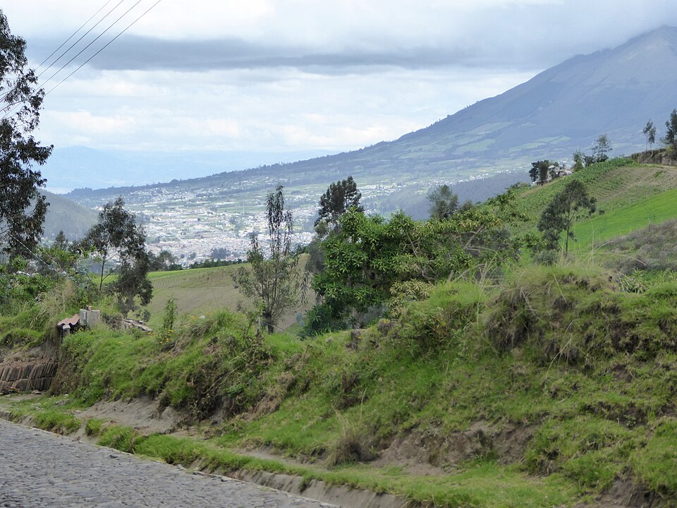 Ecuador — service booking platforms for local businesses