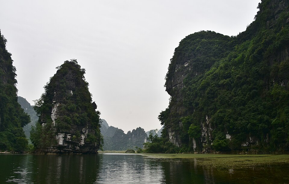 Vietnam — local market for manufacturer and distributor portals