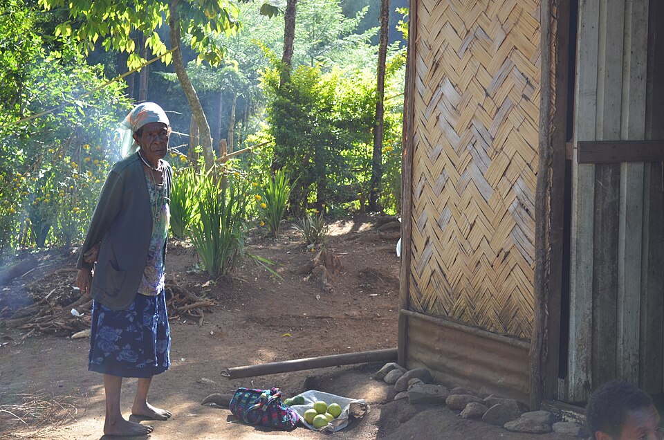 Goroka — local market for mobile commerce apps