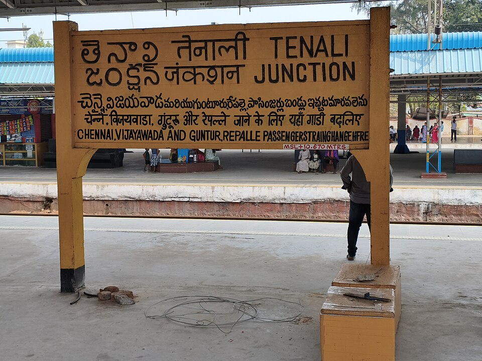 Tenali — local market for service booking platforms