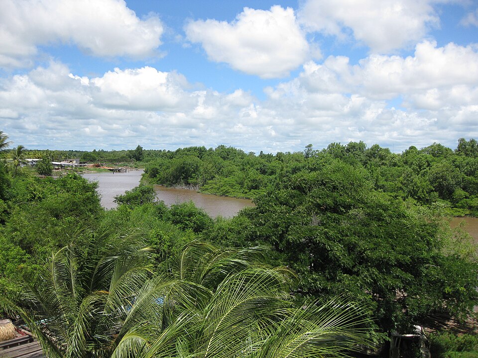 Guyana — local market for manufacturer and distributor portals