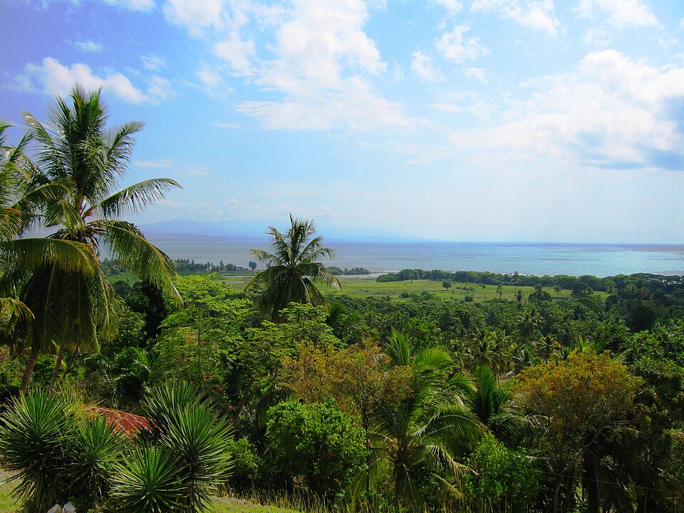 Haiti — local market for multi-vendor marketplaces