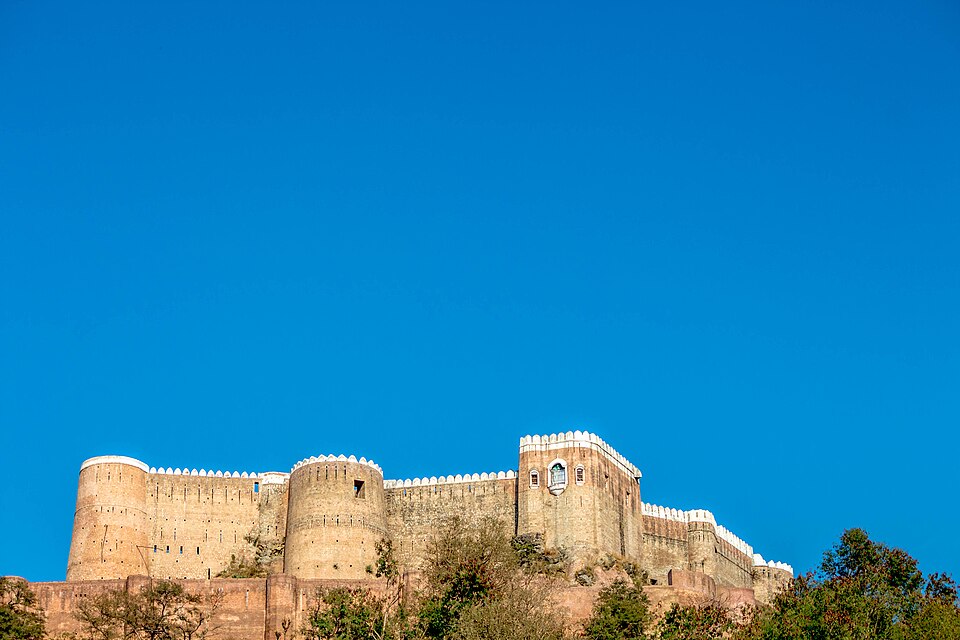Reasi — B2B and wholesale portals for local businesses