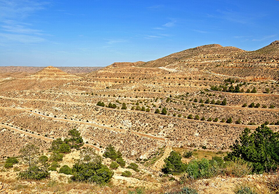 Tunisia — manufacturer and distributor portals for local businesses