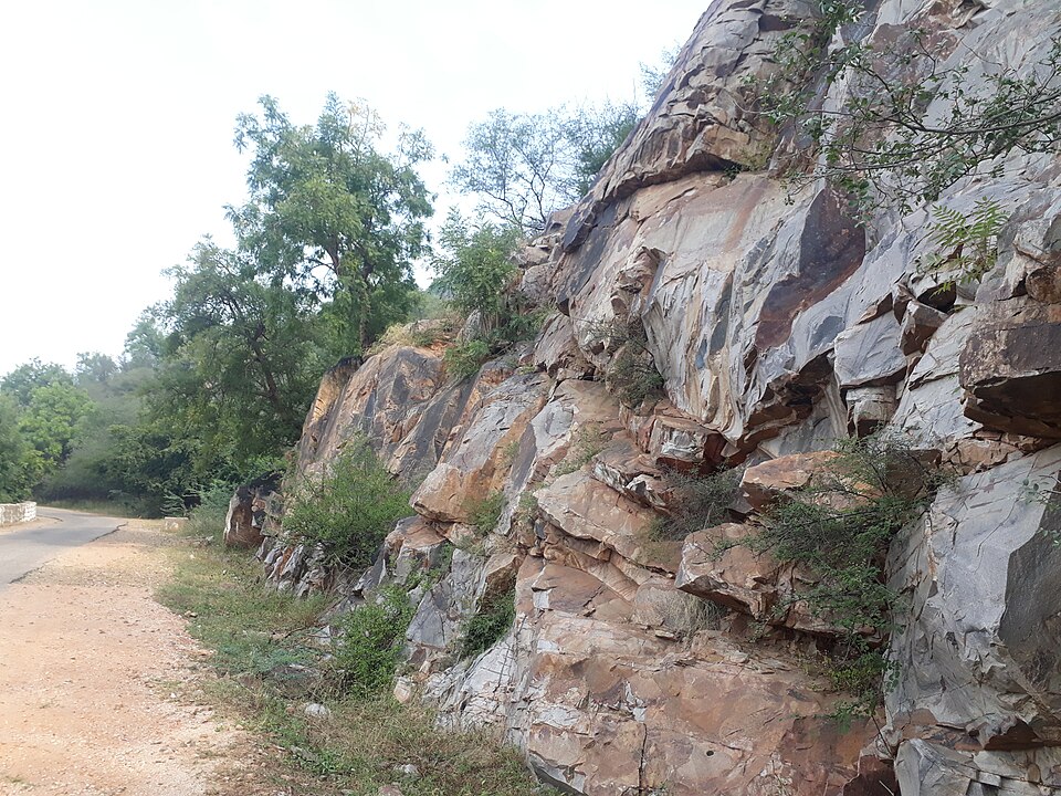 Alwar — local market for service booking platforms