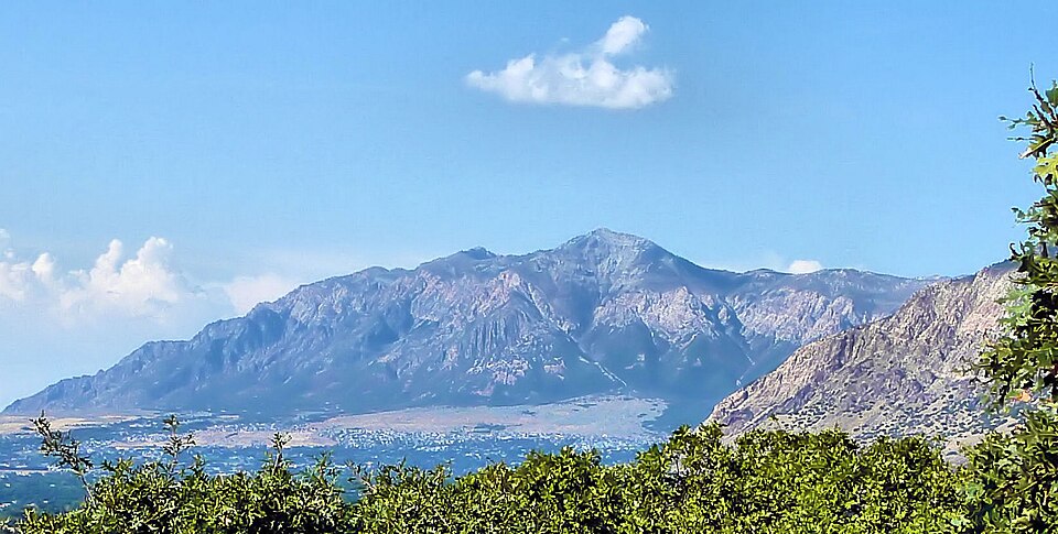 Ogden — subscription and membership platforms for local businesses