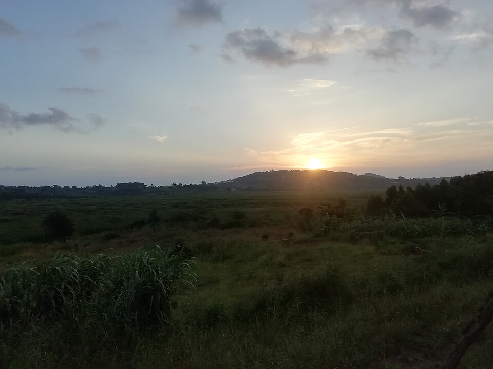 Wakiso — subscription and membership platforms for local businesses