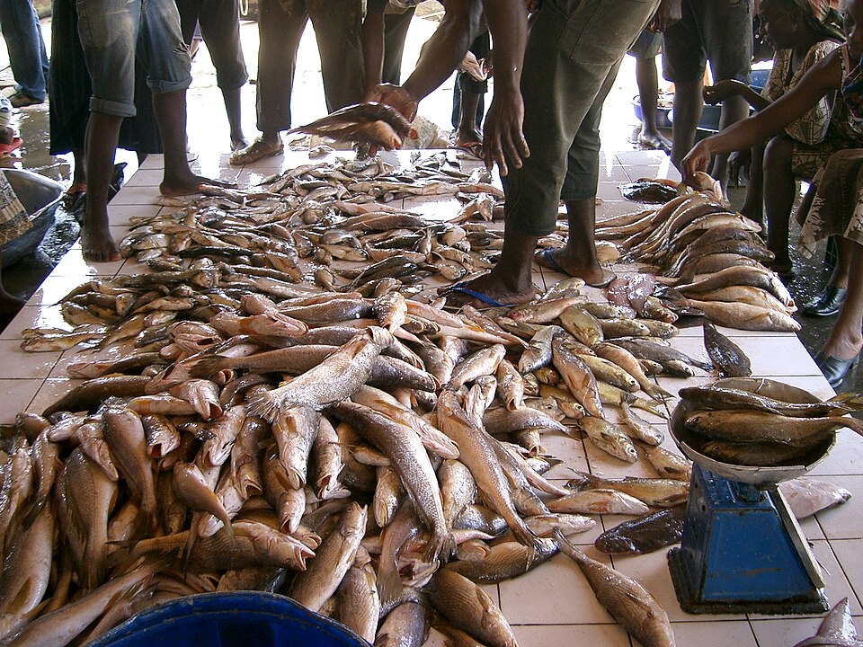 Kribi — international and multi-region stores for local businesses