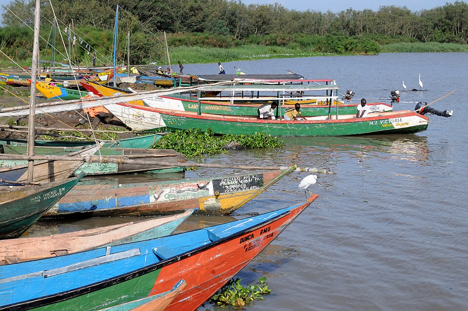 Kisumu — online stores for local businesses
