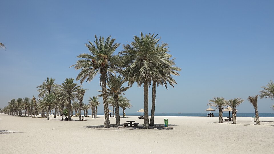 Sharjah — B2B and wholesale portals for local businesses