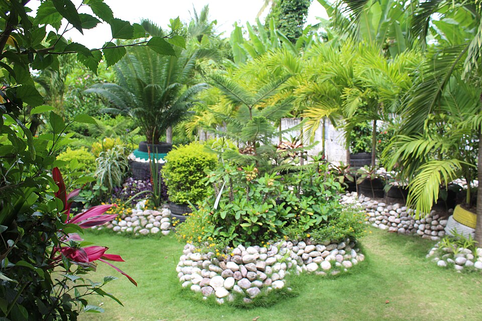 Les Cayes — service booking platforms for local businesses