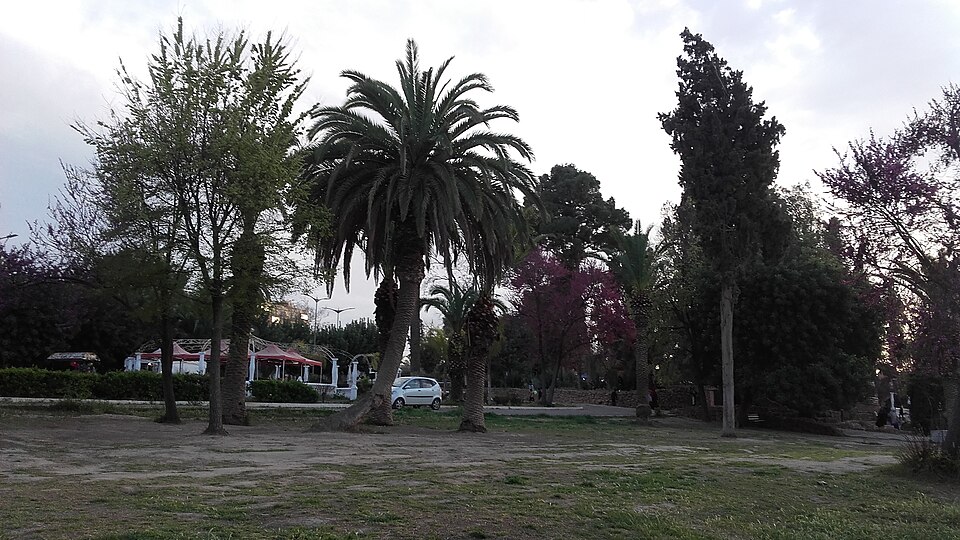 Sidi Bel Abbès — local market for custom e-commerce platforms