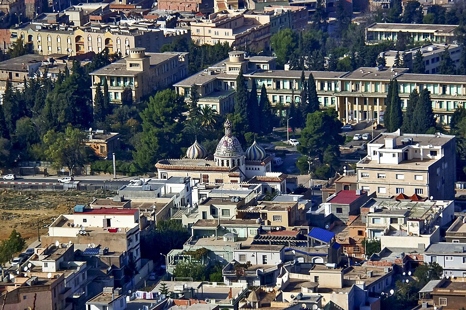 Tlemcen — mobile commerce apps for local businesses