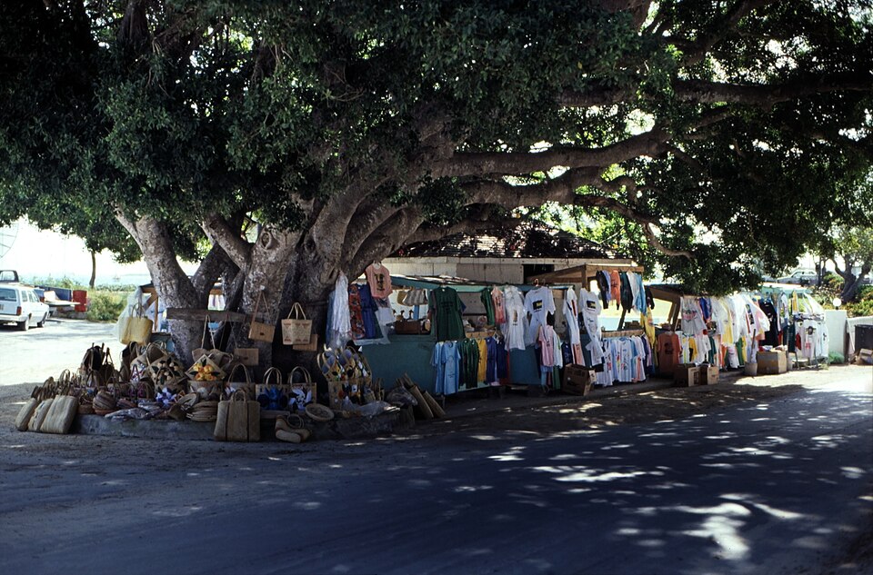 George Town — local market for manufacturer and distributor portals