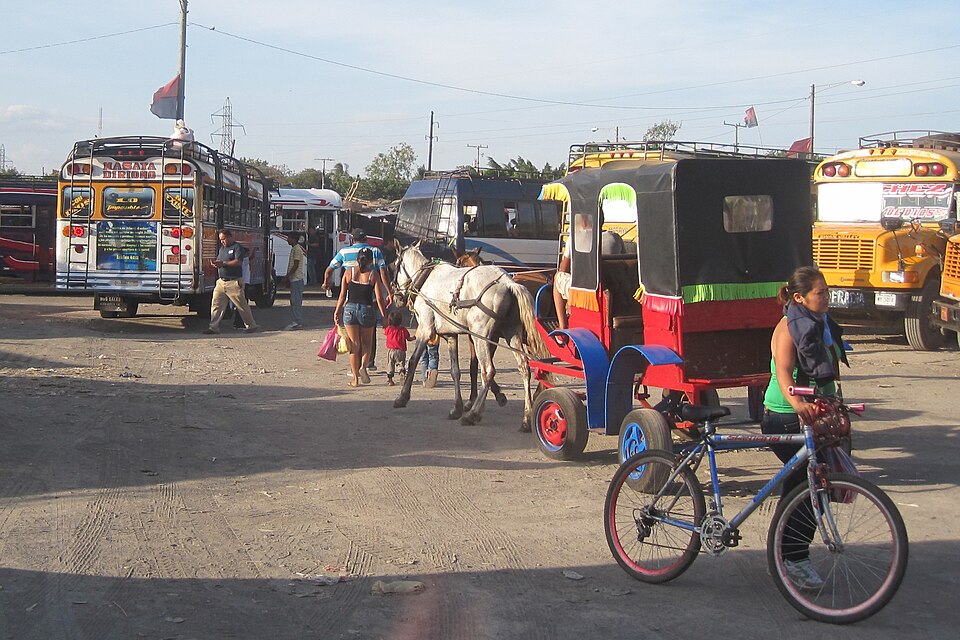 Masaya — international and multi-region stores for local businesses
