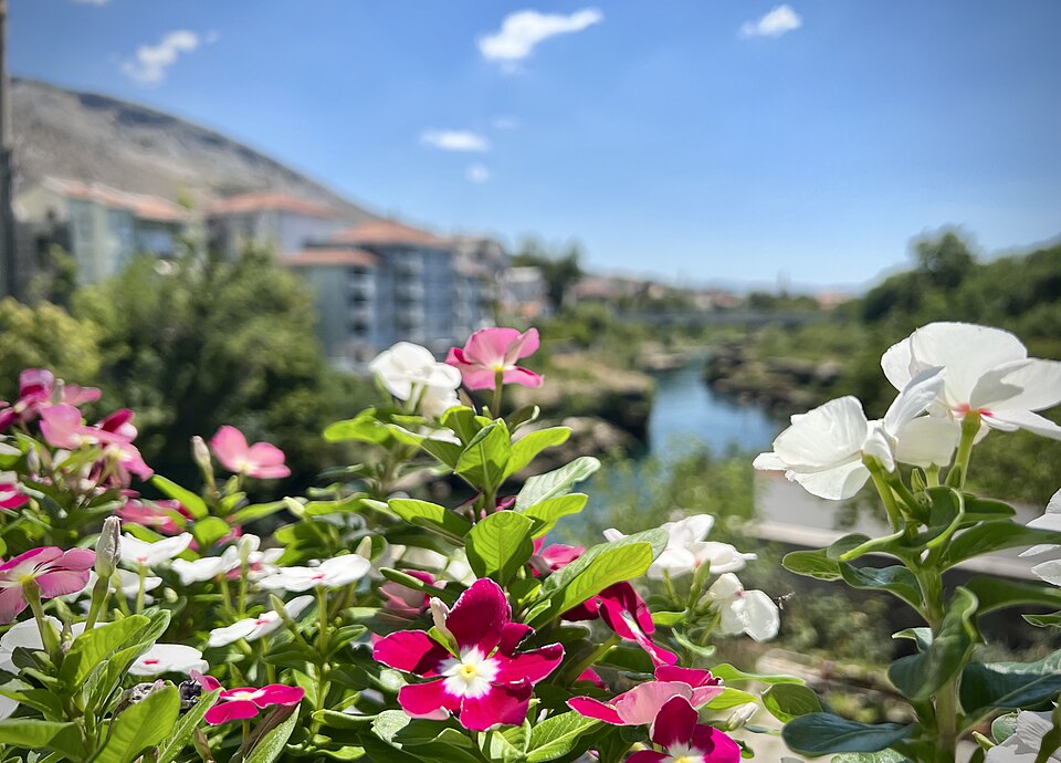 Mostar — local market for service booking platforms