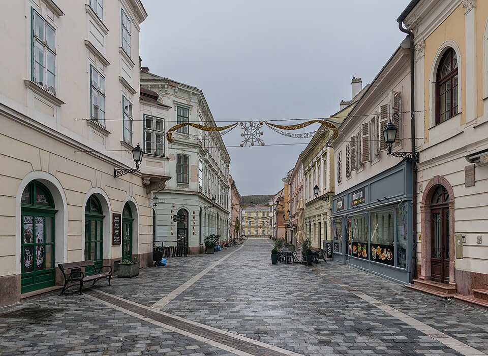 Győr — local market for multi-vendor marketplaces