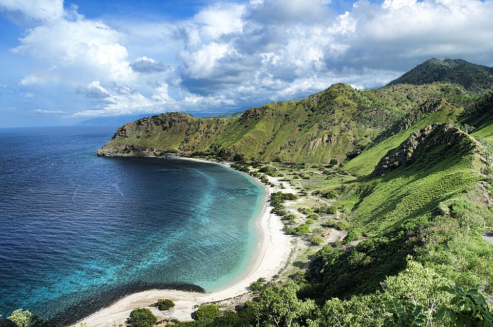 Dili — local market for manufacturer and distributor portals