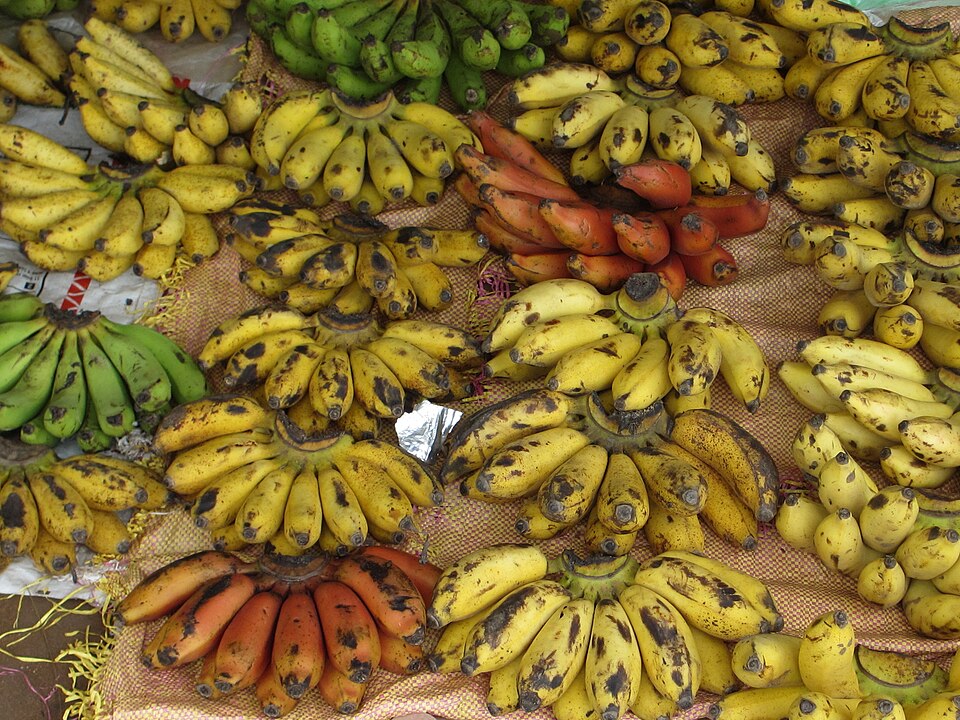 Pemba — local market for custom e-commerce platforms