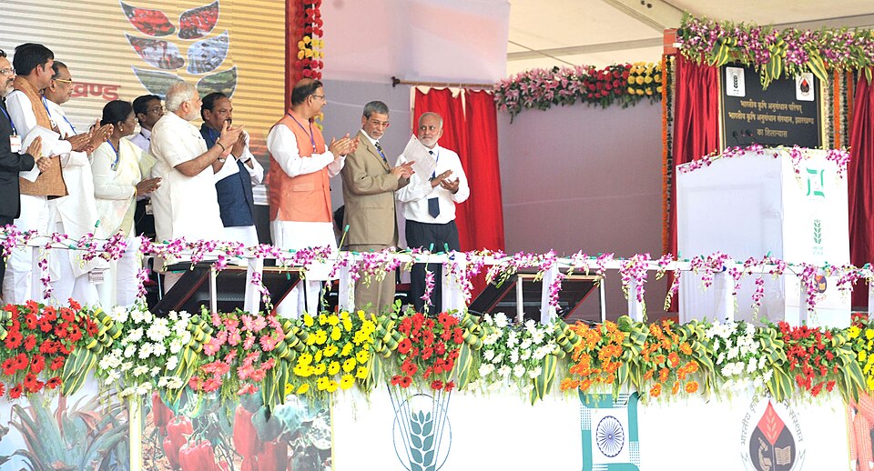 Hazaribagh — local market for service booking platforms