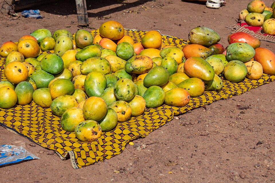 Bouaké — local market for service booking platforms