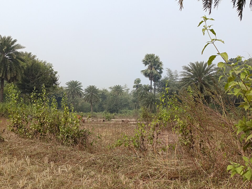 Gumla — local market for online stores