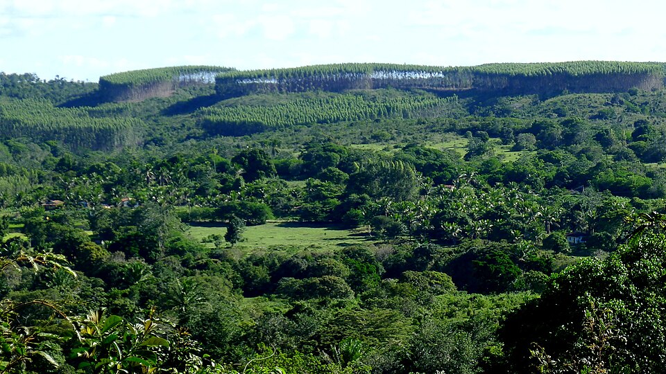 Brazil — online stores for local businesses