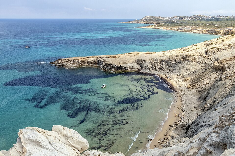 Bizerte — local market for B2B and wholesale portals
