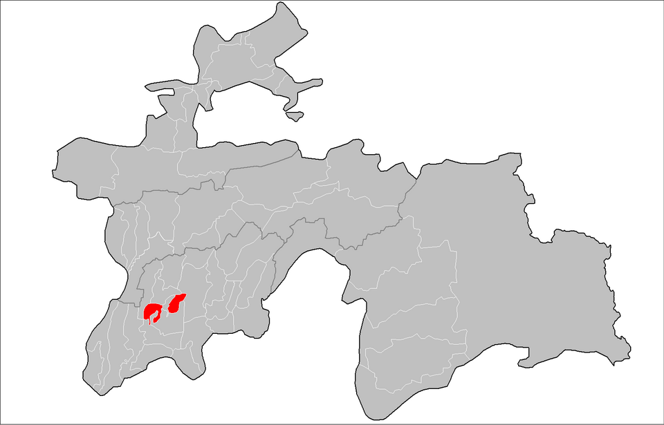 Tajikistan — international and multi-region stores for local businesses