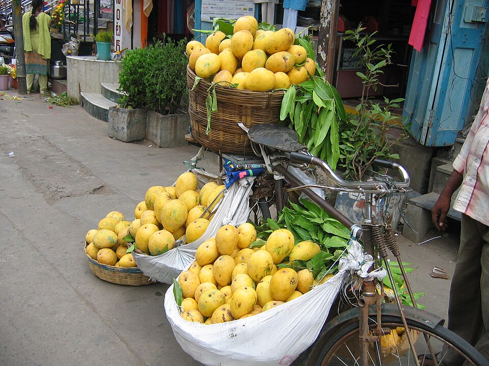 Guntur — B2B and wholesale portals for local businesses