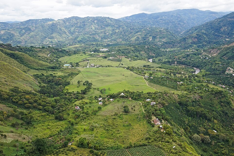 Colombia — local market for B2B and wholesale portals