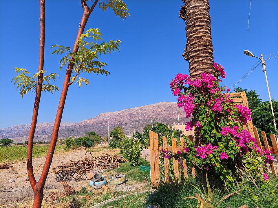 Jordan — international and multi-region stores for local businesses