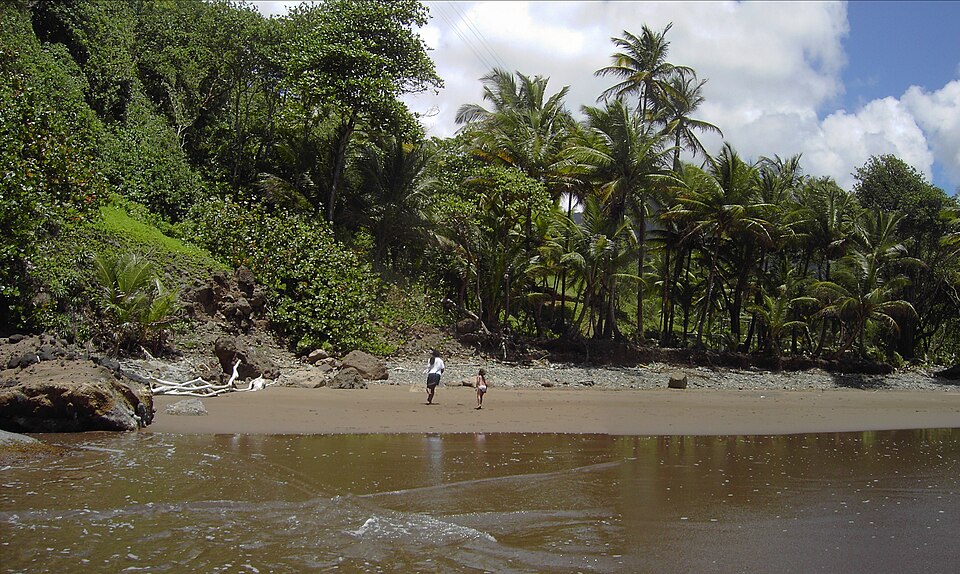 Dominica — local market for service booking platforms