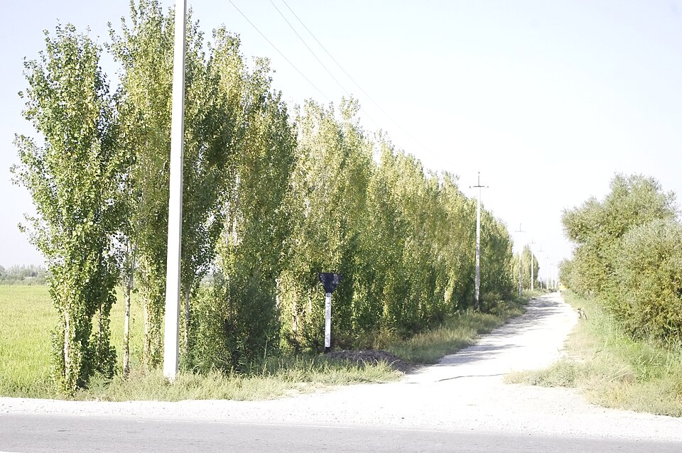 Uzbekistan — local market for international and multi-region stores