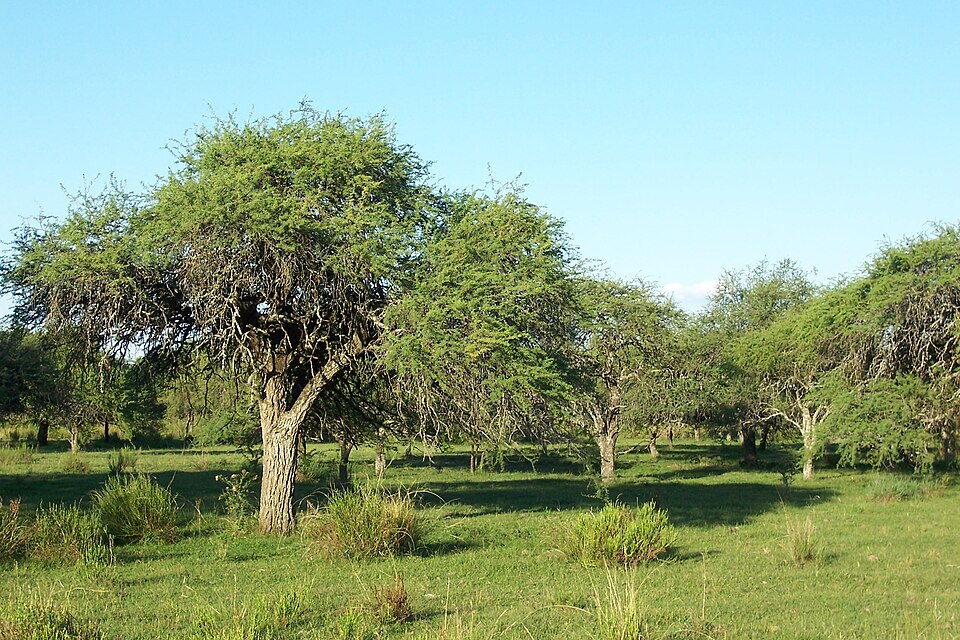 Uruguay — manufacturer and distributor portals for local businesses