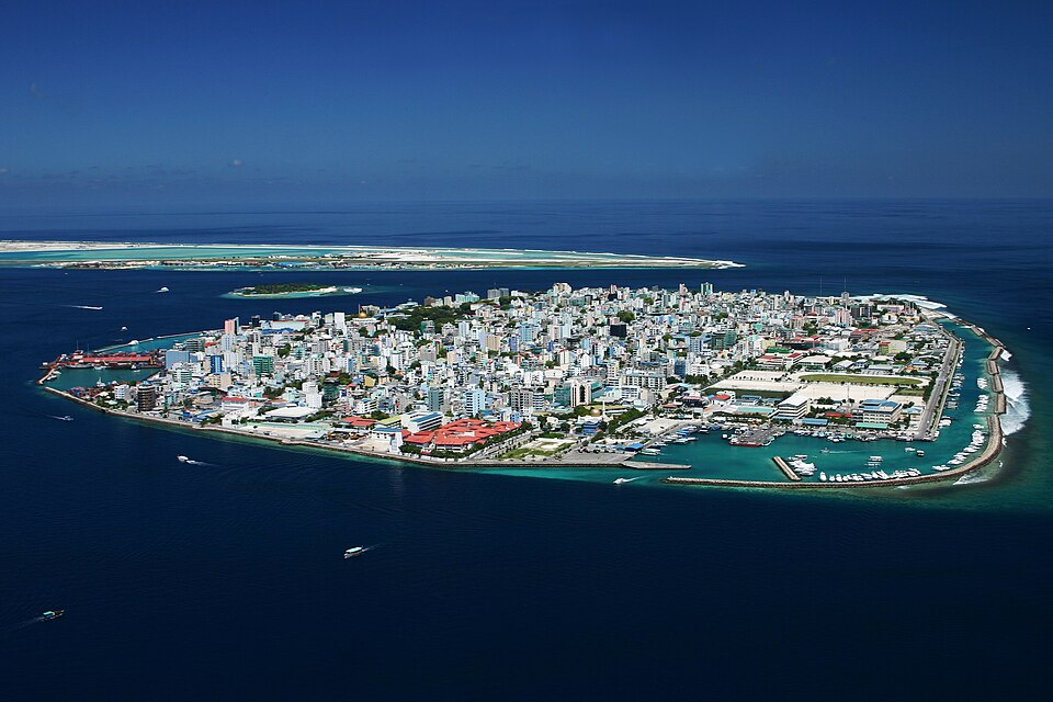 Malé — local market for B2B and wholesale portals
