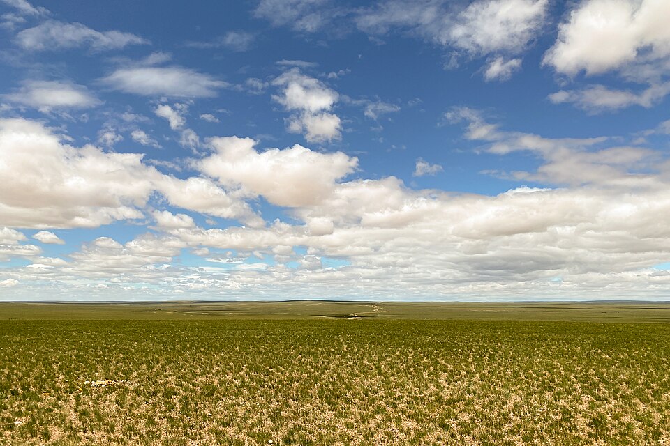 Mongolia — local market for B2B and wholesale portals