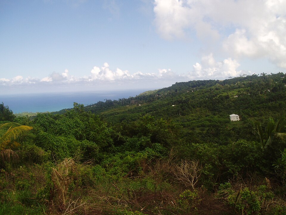 Barbados — local market for online stores