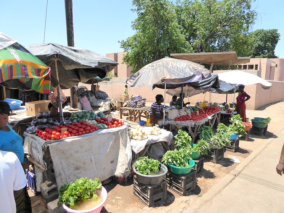 Livingstone — local market for custom e-commerce platforms
