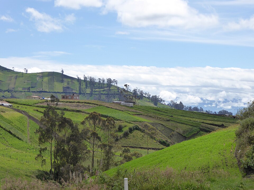Ecuador — manufacturer and distributor portals for local businesses
