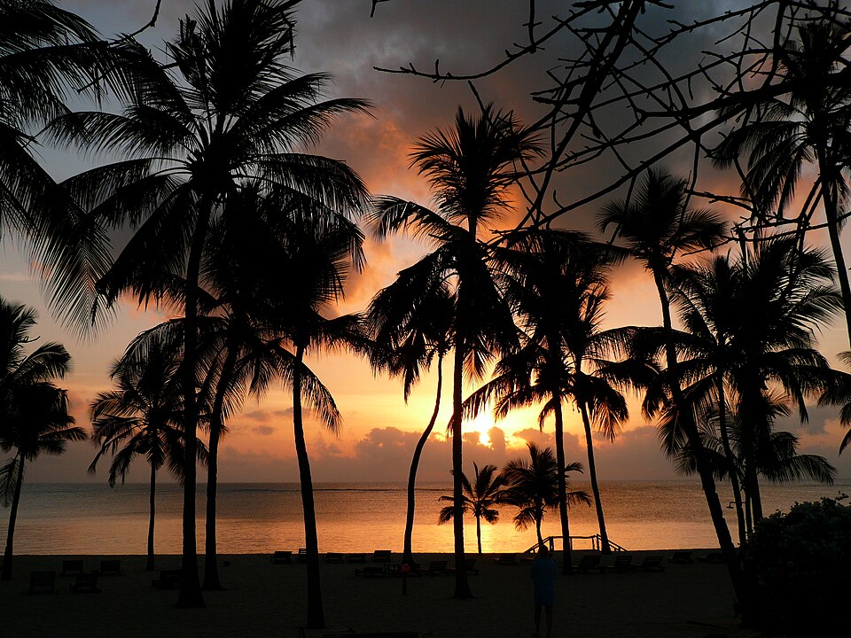 Malindi — B2B and wholesale portals for local businesses