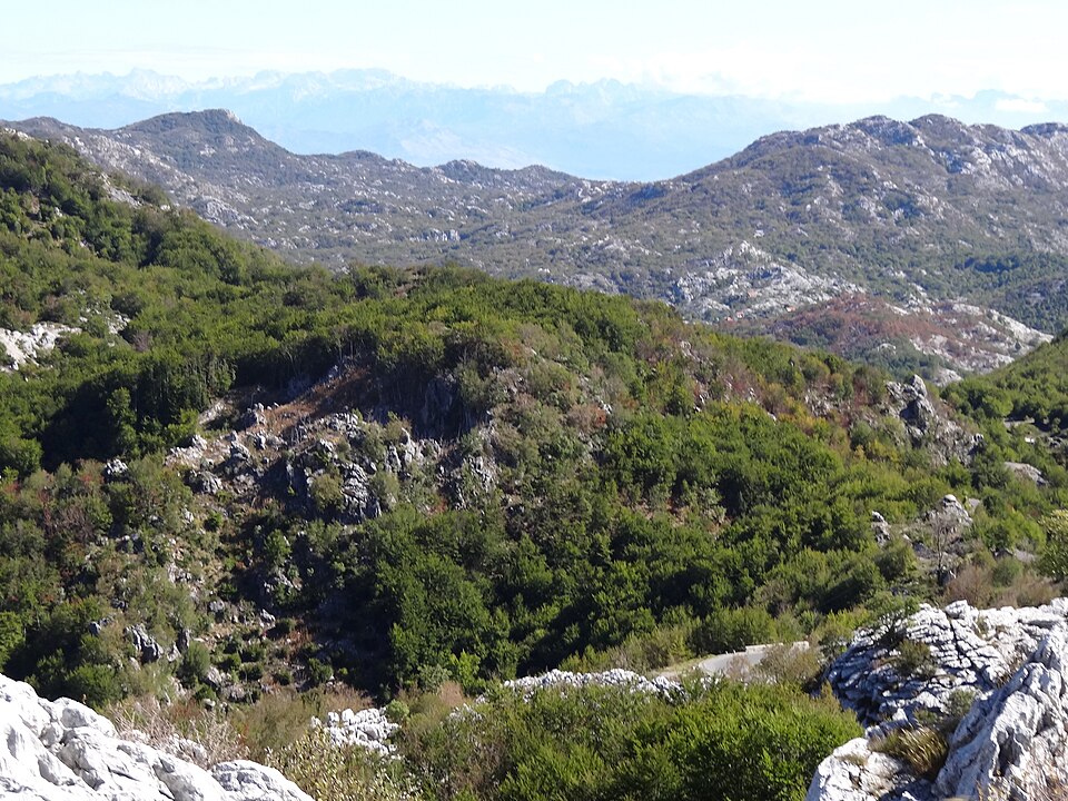 Montenegro — local market for manufacturer and distributor portals