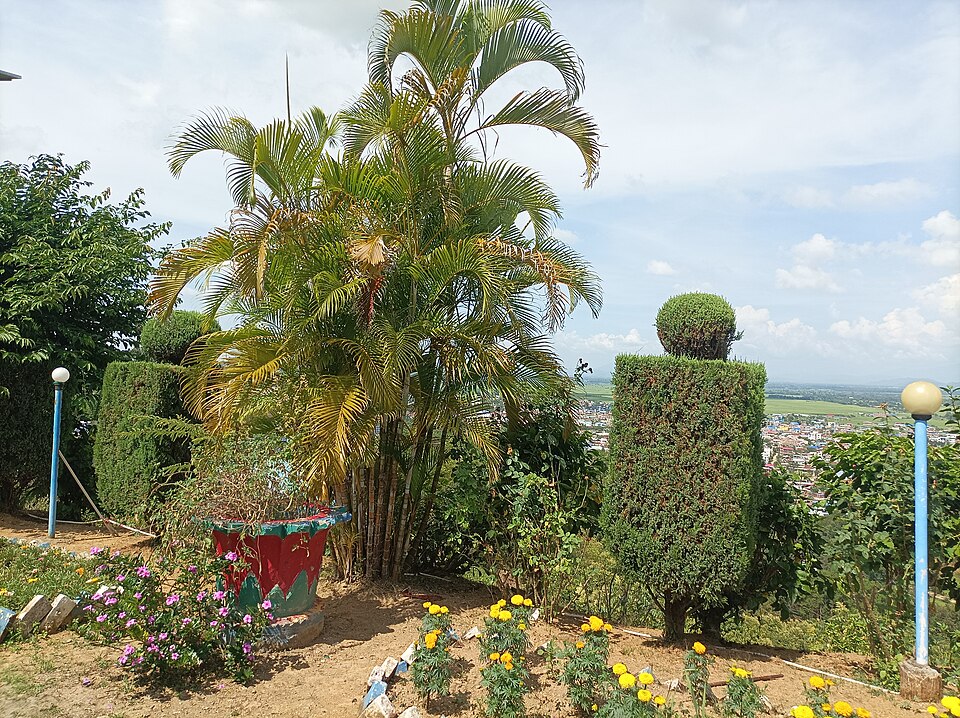Kakching — local market for multi-vendor marketplaces