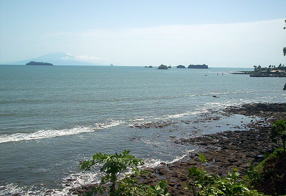 Limbe — local market for subscription and membership platforms