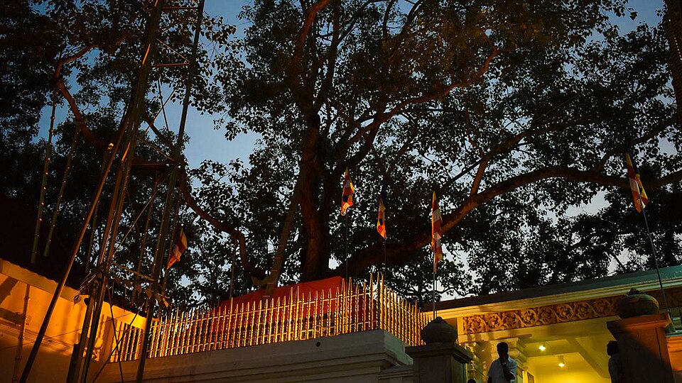 Anuradhapura — service booking platforms for local businesses