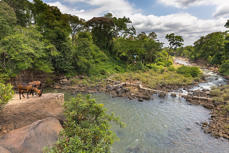 Laos — B2B and wholesale portals for local businesses