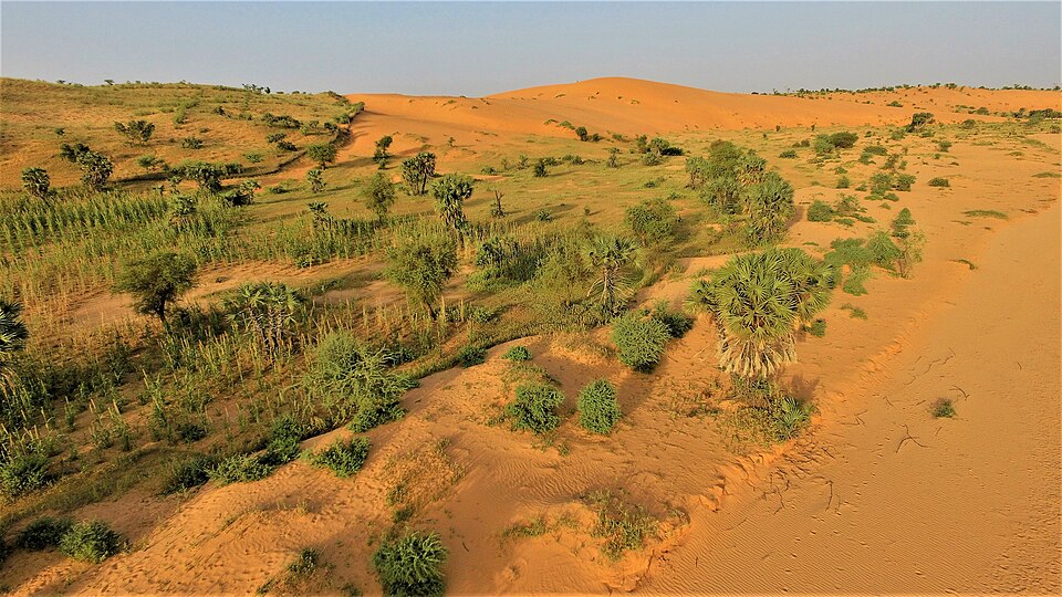 Niger — online stores for local businesses