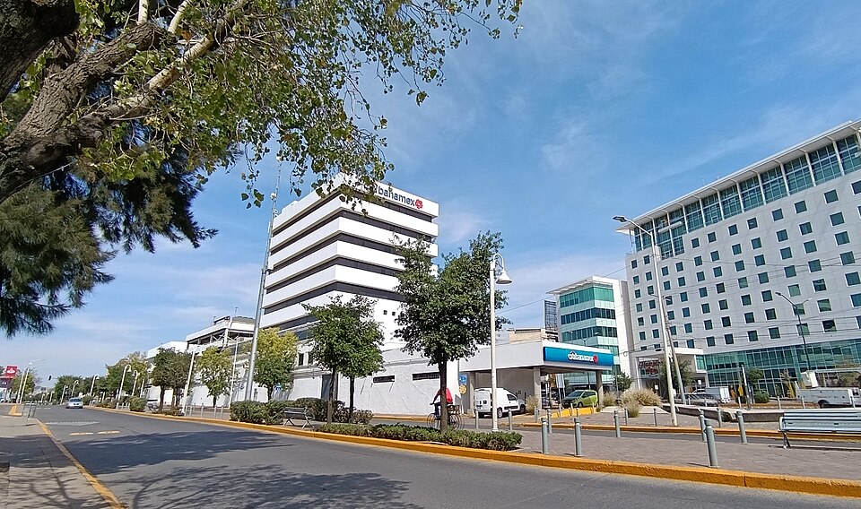 León — multi-vendor marketplaces for local businesses