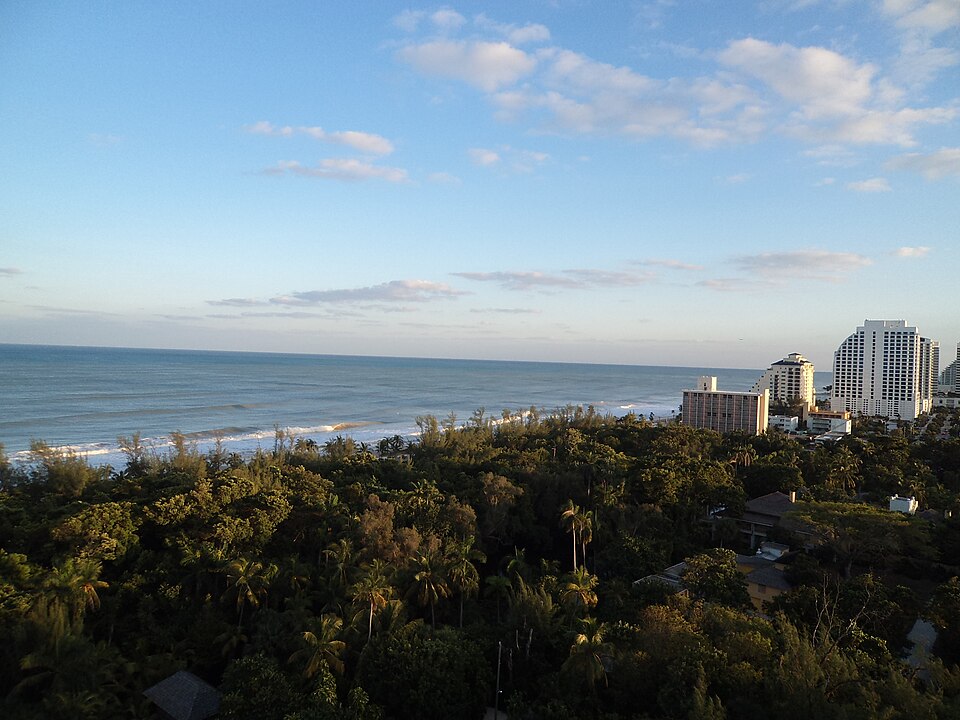 Fort Lauderdale — multi-vendor marketplaces for local businesses